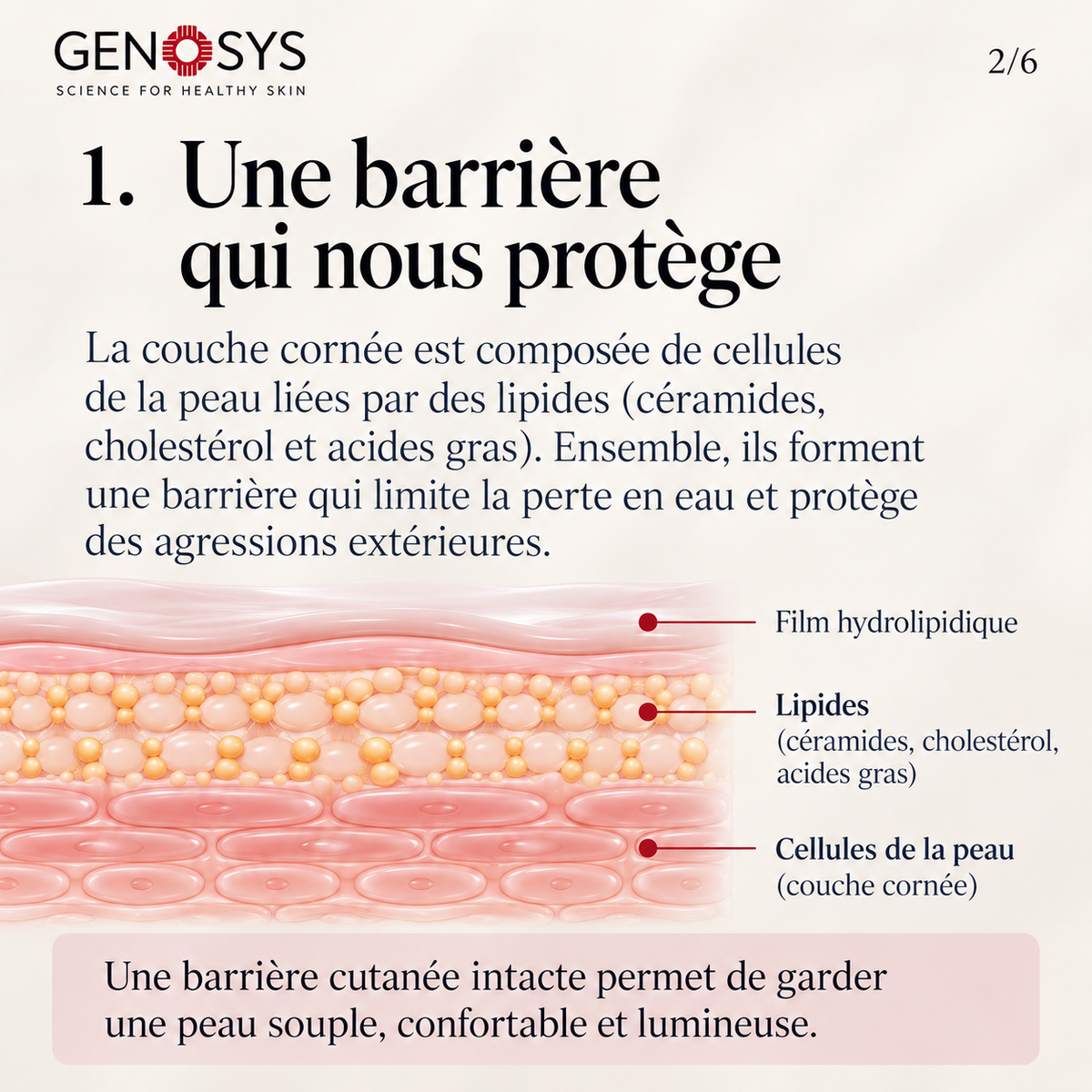 Cerabarrier Biome Gel Cleanser