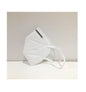 Protec Masque KN95 (50 pcs)